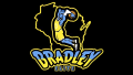Logo Bradley Elite